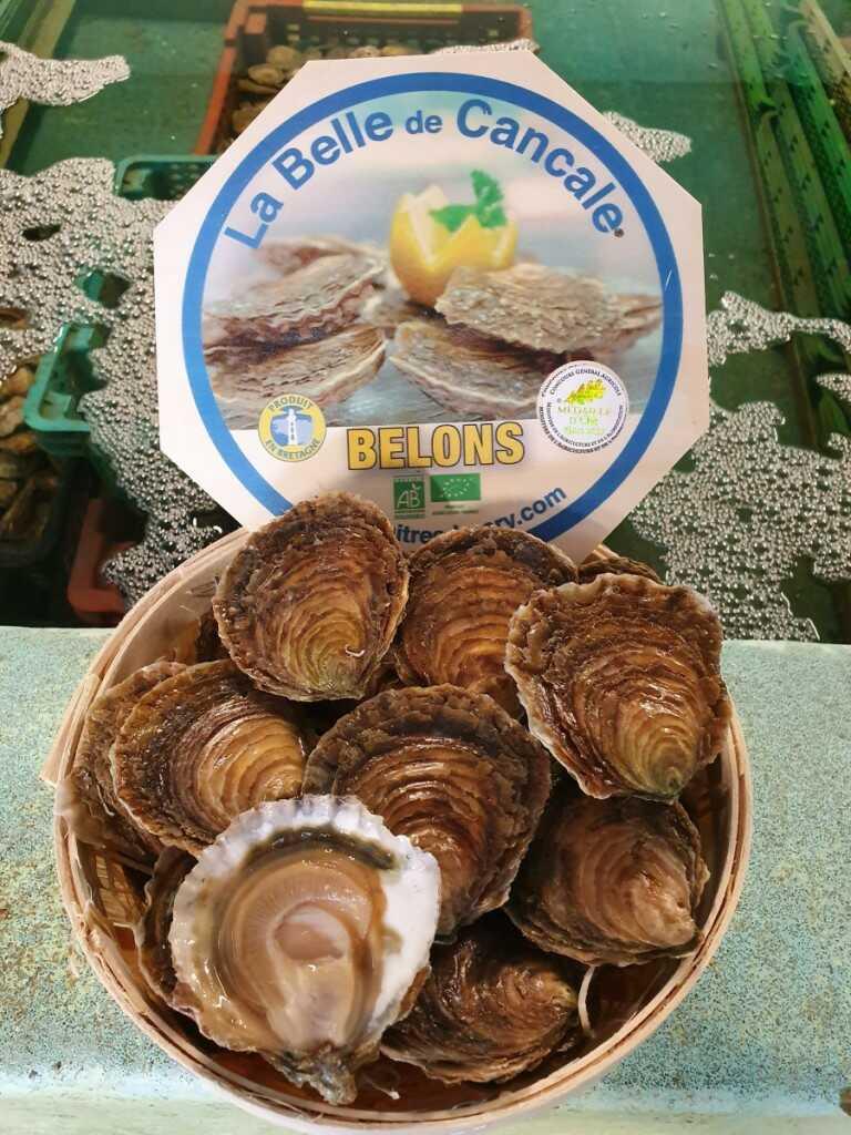 31 1 belons 2020 optimized